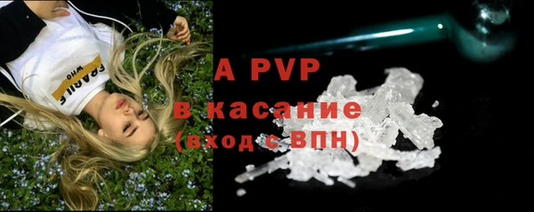 PSILOCYBIN Абаза