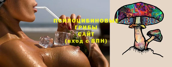 PSILOCYBIN Абаза