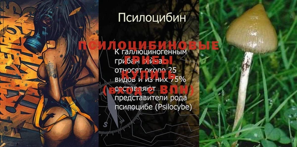 бошки Абдулино